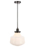 Living District Lyle Pendant Model: LD6263BR
