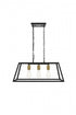 Living District Pendant Model: LD4061D25BK
