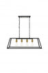 Living District Resolute 4 Light Pendant Model: LD4061D32BK