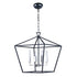 Maxim Abode Single Tier Chandelier Model: 25156TXBPN