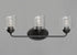 Maxim Acadia 3 Light Bath Vanity Model: 12263CDHR