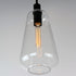 Maxim Babylon 1 Light Pendant Model: 11114CLBK