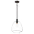 Maxim Babylon 1 Light Pendant Model: 11116CLBK