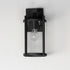 Maxim Belfry Outdoor Wall Mount Model: 30062CLBK