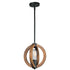 Maxim Bodega Bay 1 Light Pendant Model: 91910APAR