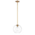Maxim Branch 1 Light Large Pendant Model: 38419CLNAB