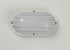 Maxim Bulwark 1 Light LED Outdoor Wall Sconce Model: 51110FTWT