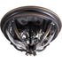Maxim Camden Vx Camden 3 Light Outdoor Ceiling Mount Model: 41420WGGO