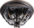 Maxim Camden Vx Camden 3 Light Outdoor Ceiling Mount Model: 41420WGGO