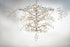 Maxim Cluster Chandelier Model: 38506CLPN