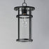Maxim Clyde Vivex Outdoor Pendant Model: 40629CLBK