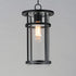 Maxim Clyde Vivex Outdoor Pendant Model: 40629CLBK