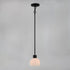 Maxim Coraline 1 Light Mini Pendant Model: 91270SWBK