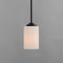 Maxim Deven Suspension Pendant Model: 90030SWBK