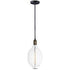 Maxim Early Electric Single Pendant Model: 12121BKAB