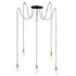 Maxim Early Electric Multi Light Pendant Model: 12125BKAB