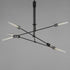 Maxim Equilibrium Multi Light Pendant Model: 26376CLBK