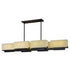 Maxim Esquire Linear Pendant Model: 43666LNDBZ
