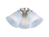Maxim Fan Light Kits 3 Light Ceiling Fan Light Kit Model: FKT207FTOI