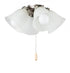 Maxim Fan Light Kits 4 Light LED Ceiling Fan Light Kit Bulbs Model: FKT210FTOI