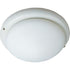 Maxim Fan Light Kits Ceiling Fan Light Kit Model: FKT206OI