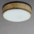 Maxim Franklin 2 Light Flush Mount Model: 14440DWBK
