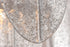 Maxim Glacier Chandelier Model: 30737CLWTPC