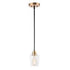 Maxim Goblet 1 Light Mini Pendant Model: 96120CLBKSN