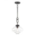 Maxim Harbor 1 Light Pendant Model: 11122CLBK
