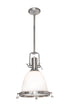 Maxim Hi Bay Single Pendant Model: 25116SWSN