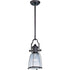 Maxim Hi Bay 1 Light Pendant Model: 25002CLBZ