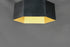 Maxim Honeycomb 1 Light LED Pendant Model: 30331BKGLD