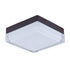 Maxim Illuminaire Flush Mount Model: 87644CLWTBZ