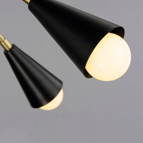 Maxim Lovell 10 Light Pendant Model: 11268BKSBR