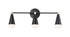 Maxim Lovell 3 Light Bath Vanity Model: 11263BKSBR