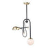 Maxim Mingle LED Single Pendant Model: 21664WTBZSBR