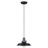 Maxim Mini Hi-bay Mini Hi Bay Single Pendant Model: 25022SN/BUI