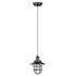 Maxim Mini Hi-bay Mini Hi Bay Single Pendant Model: 25030ACP