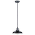 Maxim Mini Hi-bay Mini Hi Bay Single Pendant Model: 25042ACP