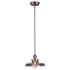 Maxim Mini Hi-bay Mini Hi Bay Single Pendant Model: 25047MSKACP
