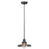 Maxim Mini Hi-bay Mini Hi Bay Single Pendant Model: 25047MSKACP