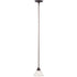 Maxim Mini Pendants Marin 1 Light Mini Pendant Model: 91066MROI
