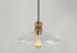 Maxim Nelson 1 Light Pendant Model: 10100CLWOAB