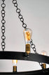 Maxim Noble 16 Light Chandelier Model: 26277BKNAB