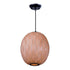 Maxim Norwood Single Pendant Model: 12402UDBK