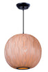 Maxim Norwood Single Pendant Model: 12405UDBK