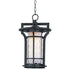 Maxim Oakville LED Outdoor Hanging Lantern Model: 55788WGBO