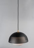Maxim Perf Single Pendant Model: 10082WTBKSBR