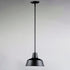 Maxim Pier M Outdoor Pendant Model: 35017BK