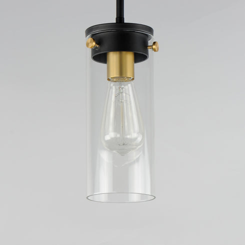 Maxim Pinn Mini Pendant Model: 12406CLBKSBR